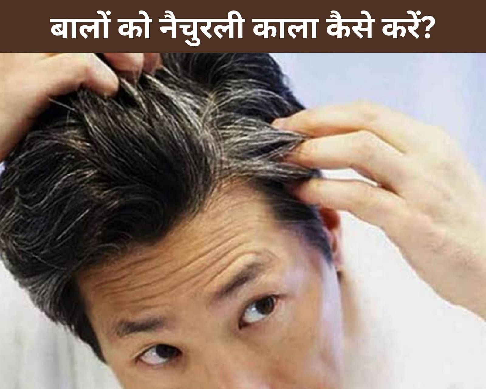 How To Make Hair Black Naturally In Hindi: बालों को नैचुरली काला कैसे करें? How To Make Hair Black Naturally In Hindi: बालों को नैचुरली काला कैसे करें?