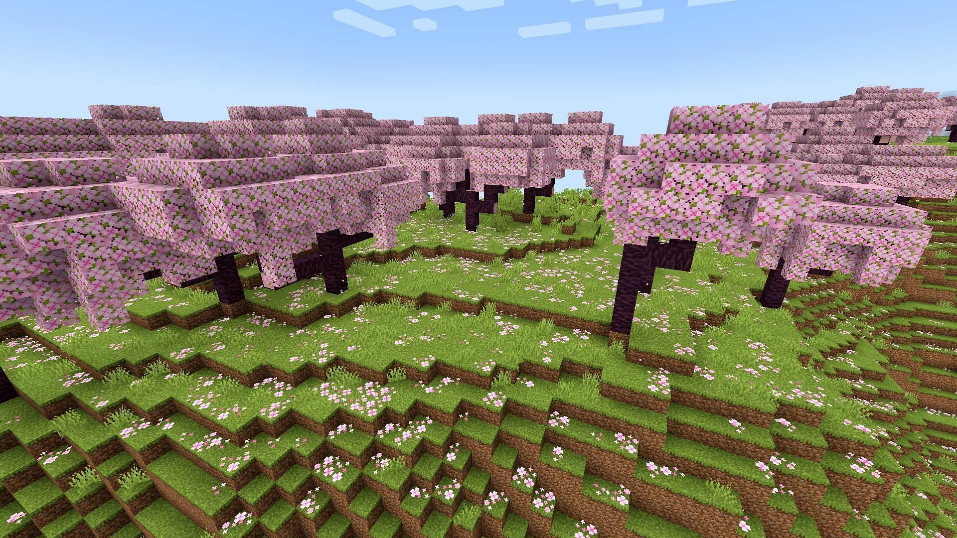 Cherry grove biome in Minecraft 1.20 update: All you need to know