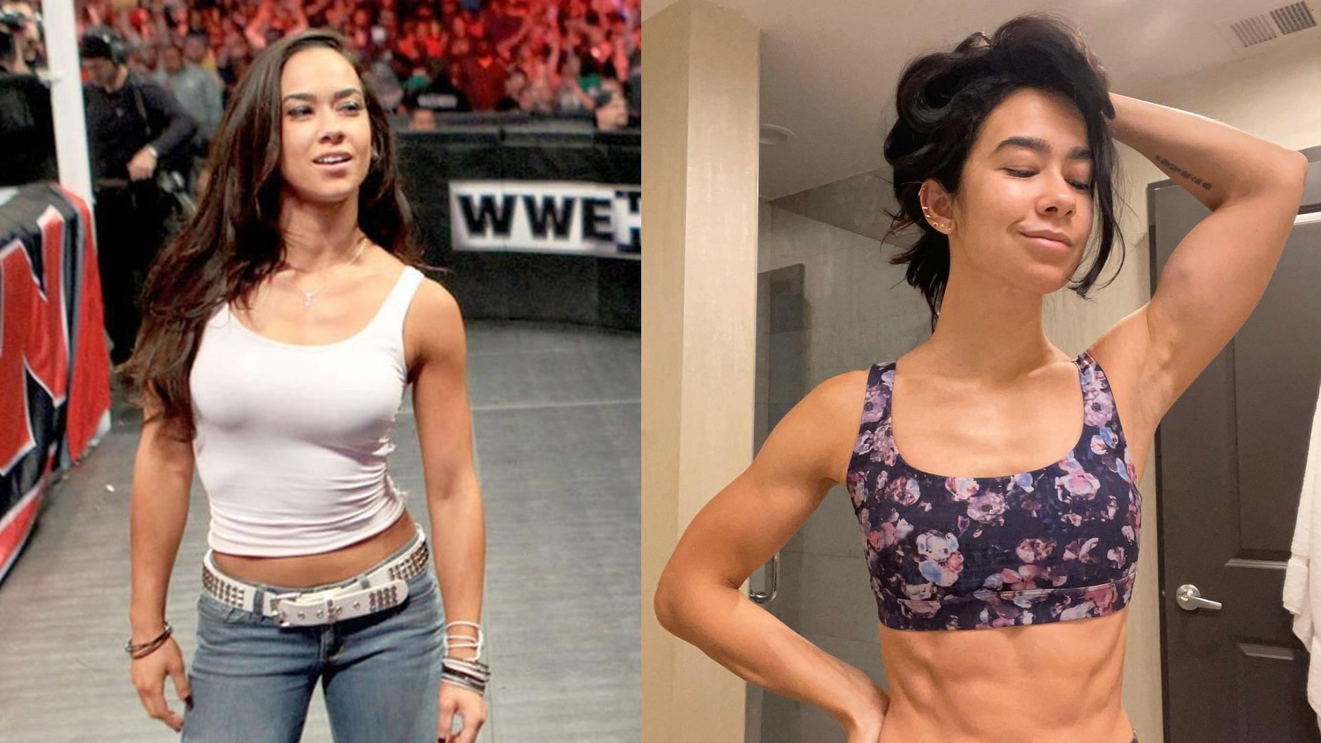 AJ Lee has not been idle while away from wrestling