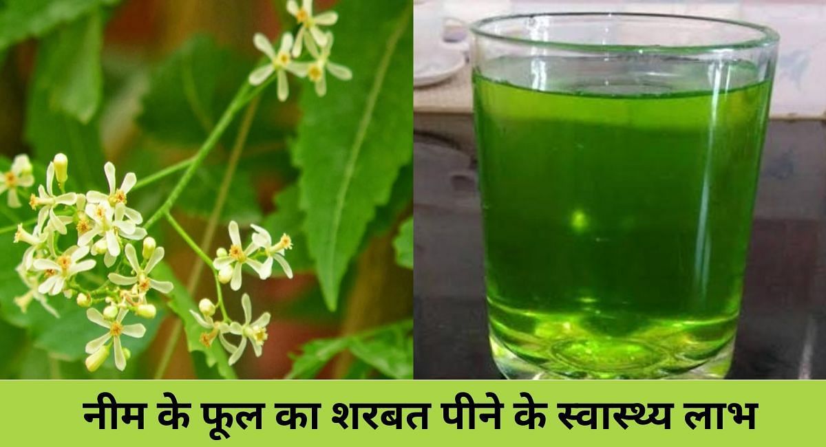 नीम के फूल का शरबत पीने के स्वास्थ्य लाभ(फोटो-Sportskeeda hindi)