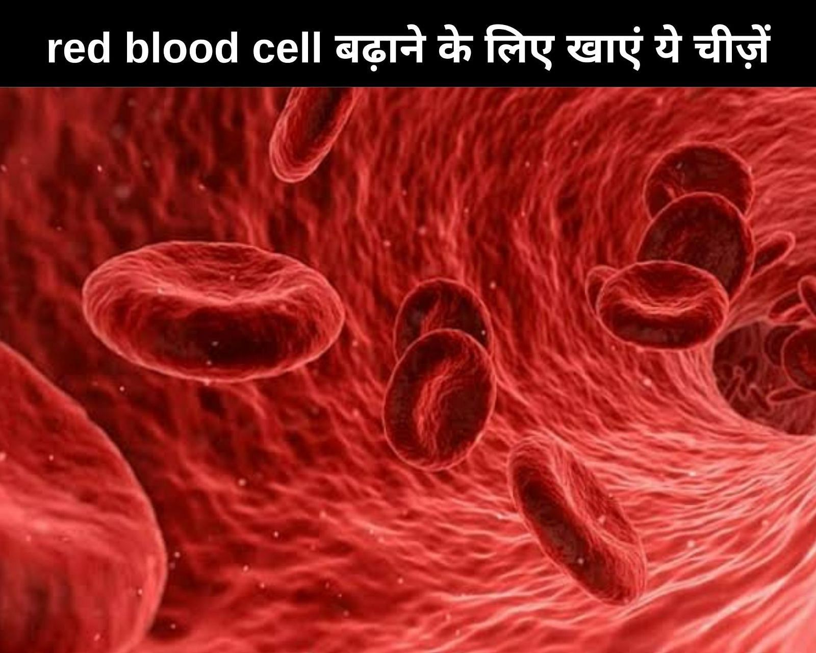 Red blood cell बढ़ाने के लिए खाएं ये चीज़ें (फोटो - sportskeedaहिन्दी)
