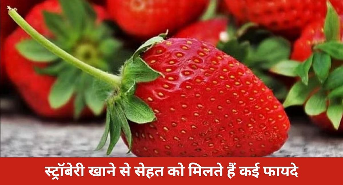 स्ट्रॉबेरी खाने से सेहत को मिलते हैं कई फायदे(फोटो-Sportskeeda hindi)