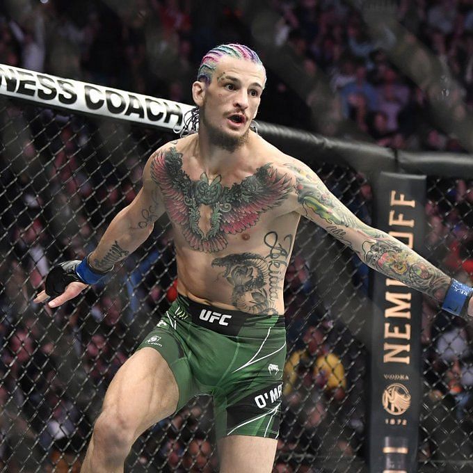 Sean O'Malley MMA: 