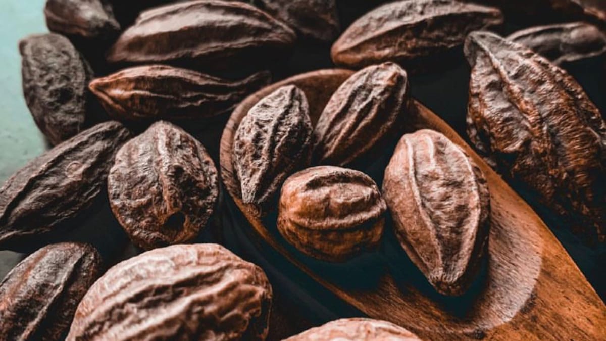 Benefits of haritaki What health benefits does this ancient herb offers?