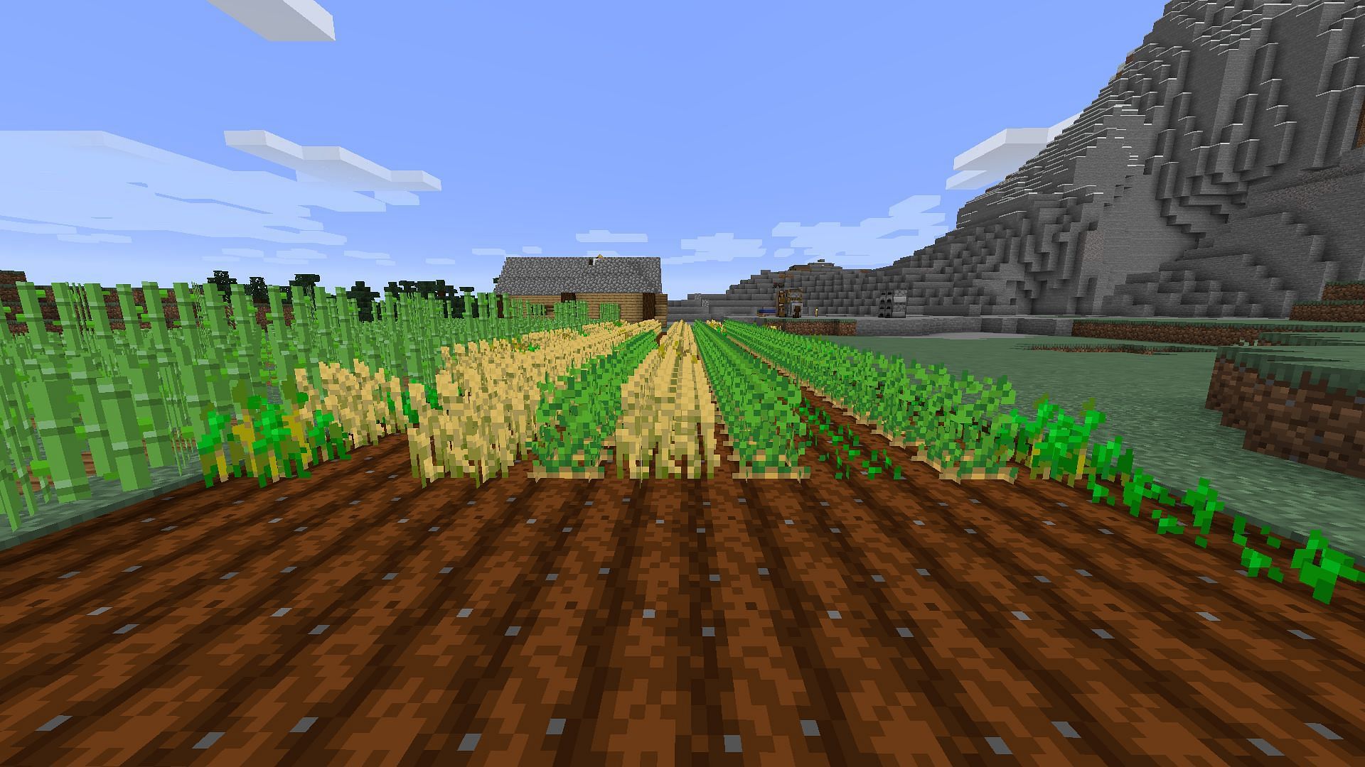 Placing crops in rows speeds their overall growth (Image via u/TheKingBuckeye/Reddit)