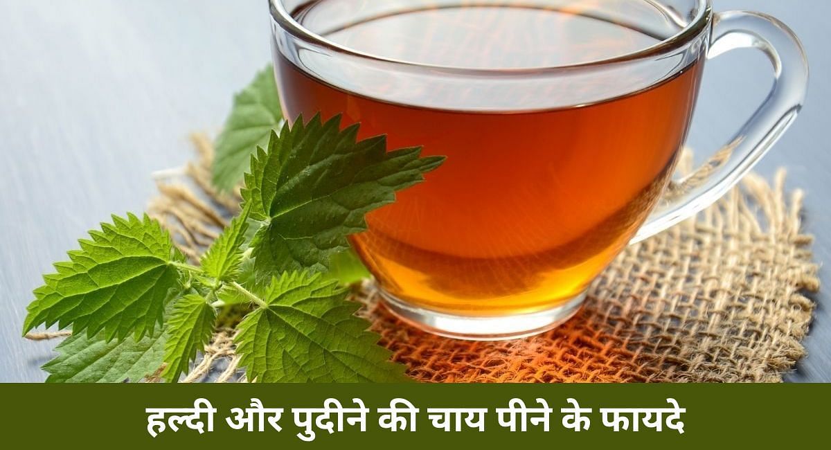 हल्दी और पुदीने की चाय पीने के फायदे(फोटो-Sportskeeda hindi)