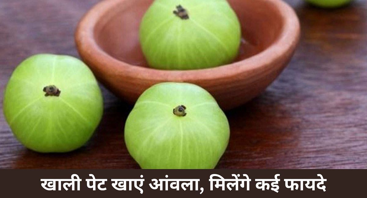 खाली पेट खाएं आंवला, मिलेंगे कई फायदे(फोटो-Sportskeeda hindi)