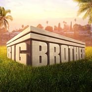 What Is Big Brother 