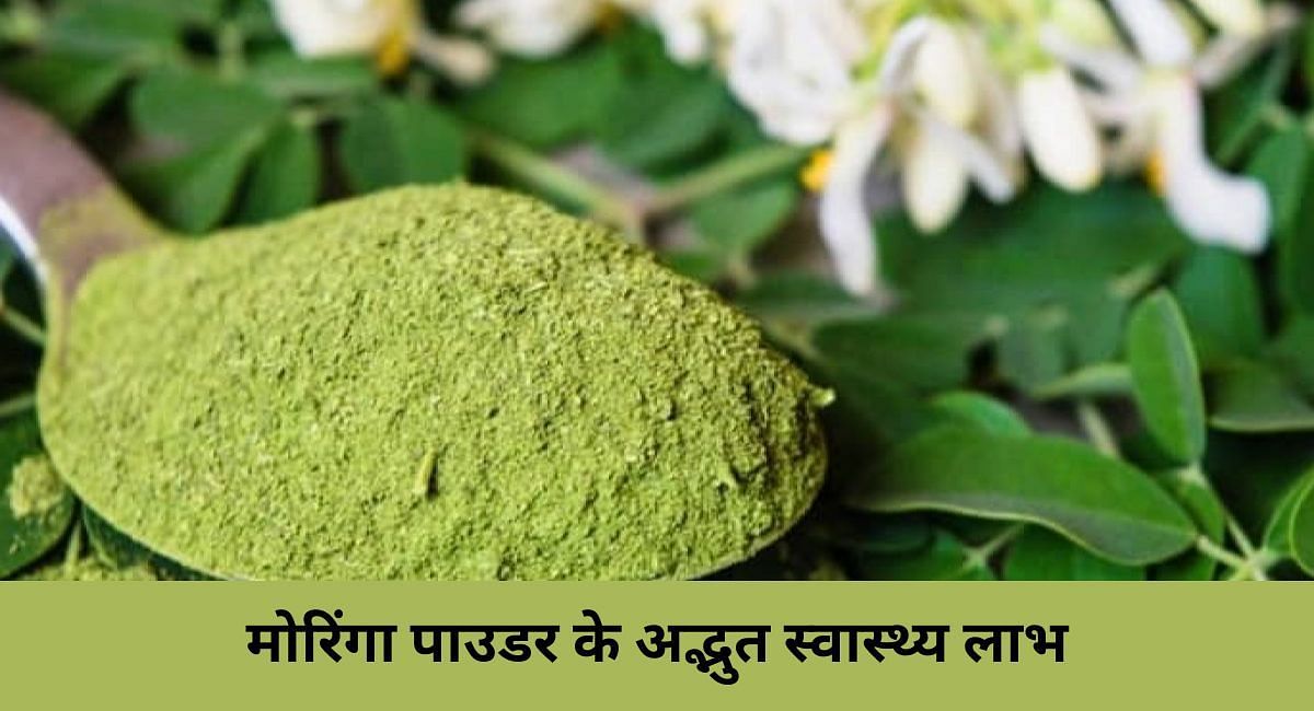 मोरिंगा पाउडर के अद्भुत स्वास्थ्य लाभ(फोटो-Sportskeeda hindi)