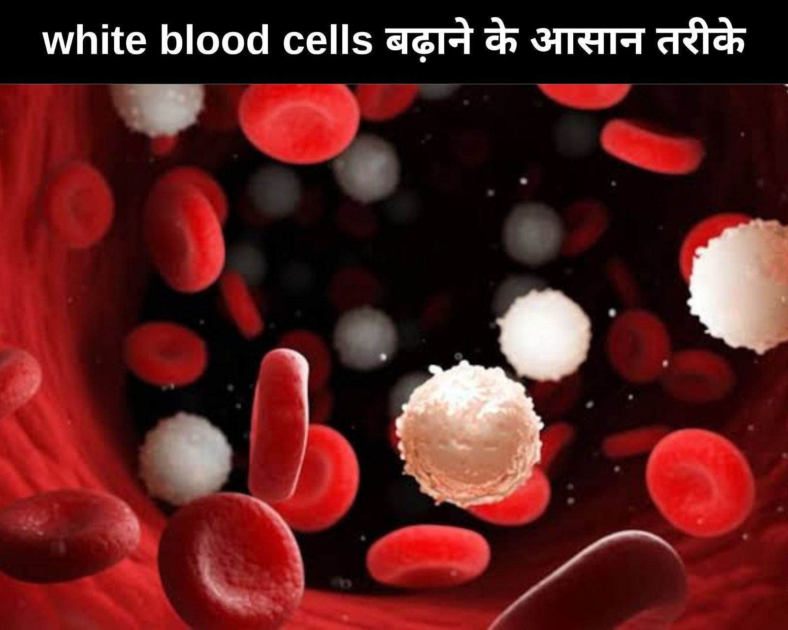 white blood cells बढ़ाने के 8 आसान तरीके (फोटो - sportskeedaहिन्दी)