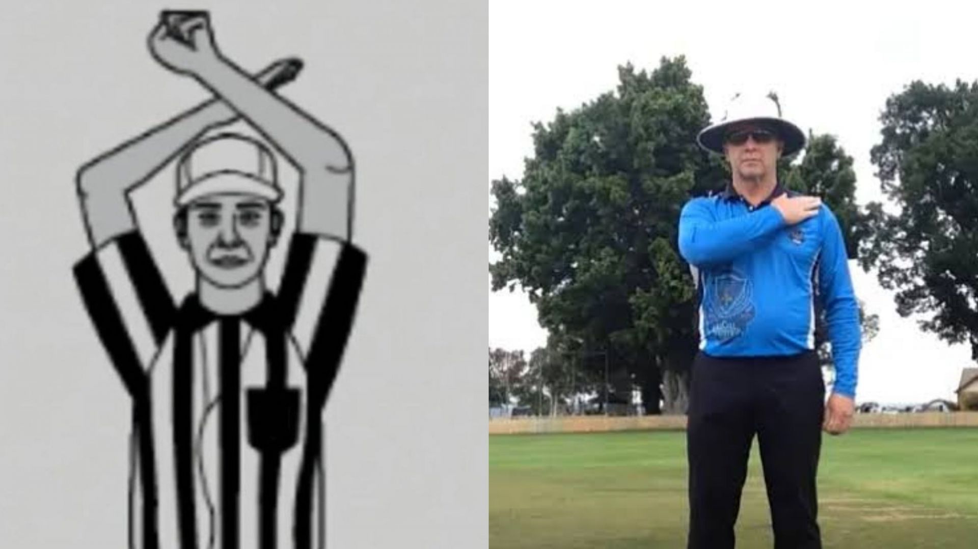 3 umpire signals in cricket you didn't know existed