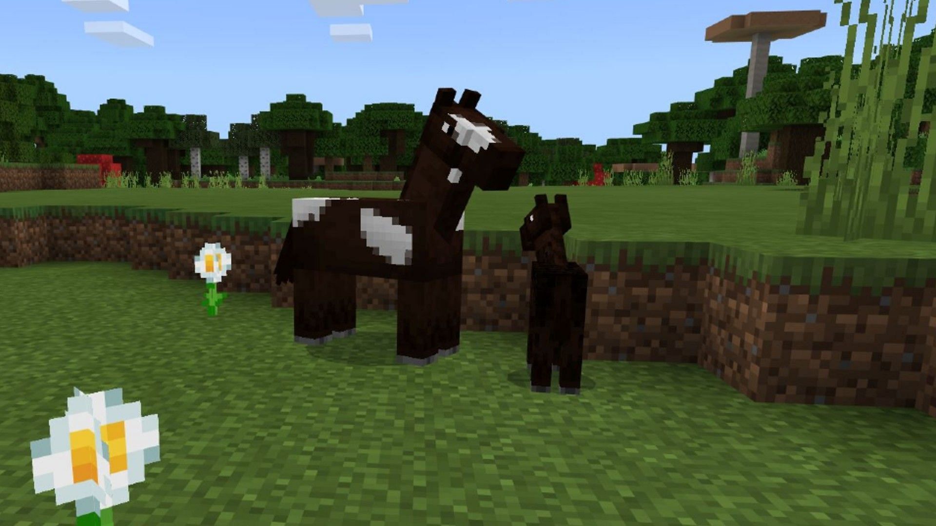 Horse breeding has been reworked in Minecraft: Bedrock Edition
