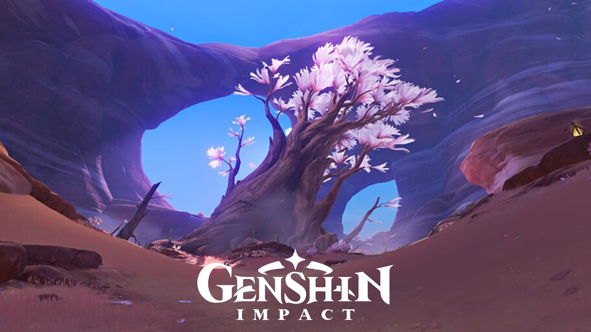 Genshin Impact 3.6 leaks: New Sumeru region map, TCG cards, free ...