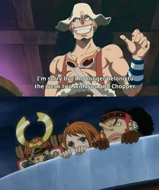 One Piece 1077 Usopp leaves fans disappointed again