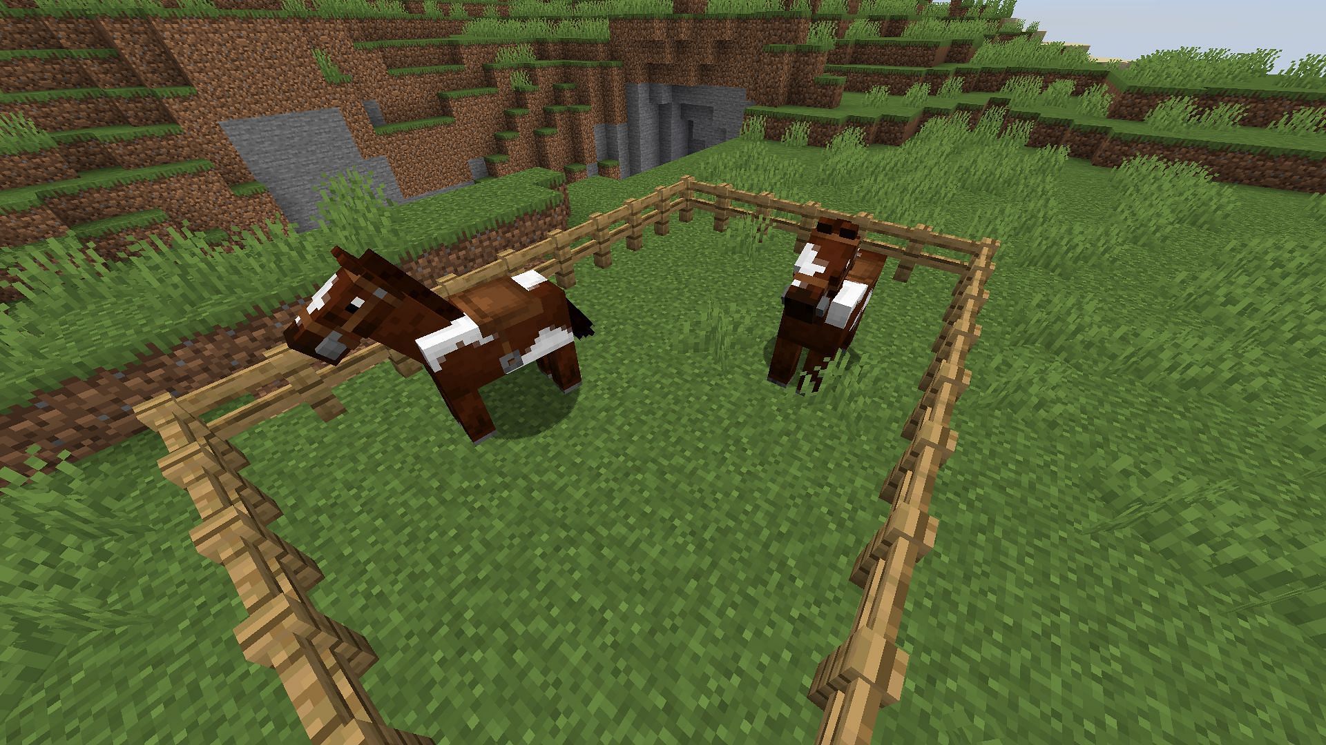 Horse breeding and their stats transferring have improved in Minecraft 1.19.4 update (Image via Mojang)