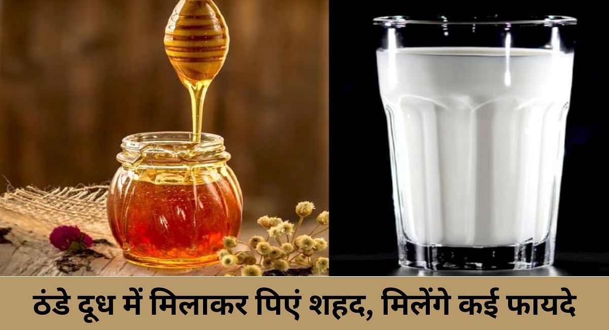 ठंडे दूध में मिलाकर पिएं शहद, मिलेंगे कई फायदे(फोटो-Sportskeeda hindi)