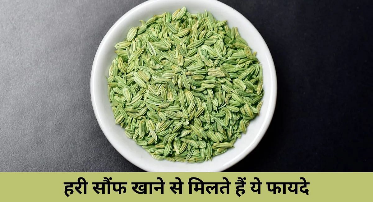 हरी सौंफ खाने से मिलते हैं ये फायदे(फोटो-Sportskeeda hindi)
