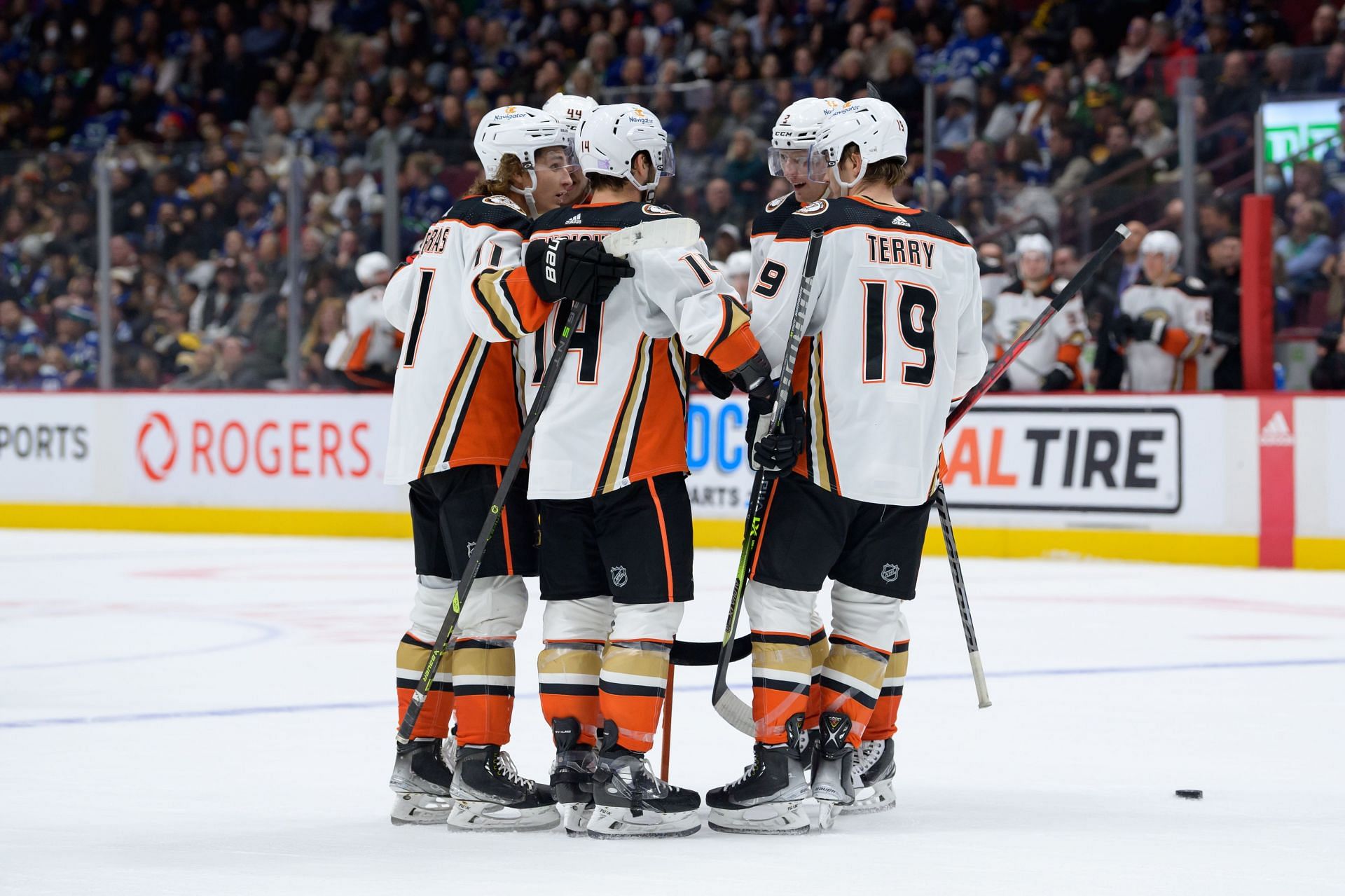 Anaheim Ducks injury report ft Trevor Zegras, Troy Terry, and more