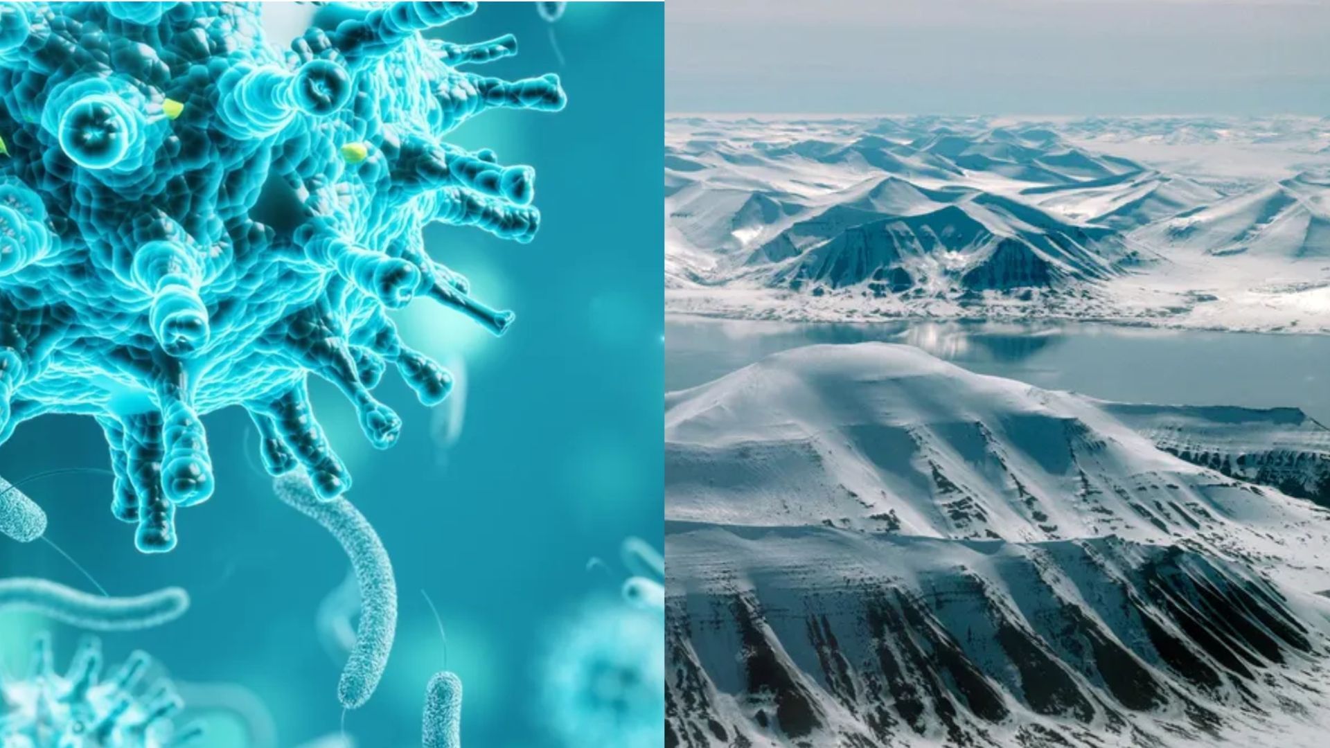 Zombie "Y'all scientists need to know when to stop" in