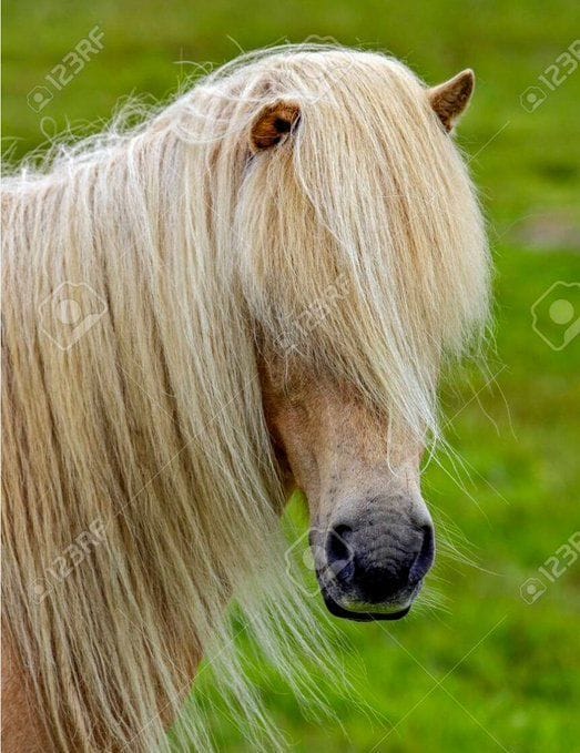 Who is Kristin Vanorman? Attorney goes viral for grilling