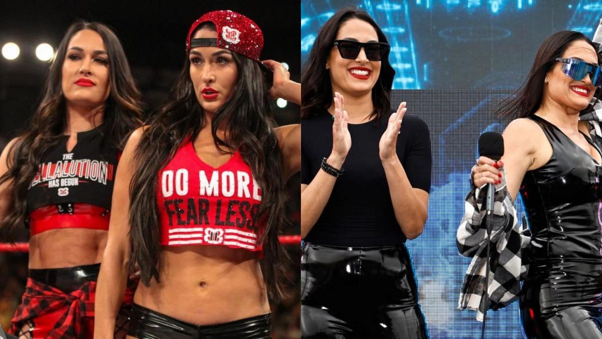 Brie and Nikki Bella Will Brie and Nikki Bella ever wrestle again