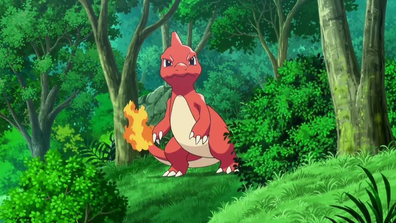 Charmeleon as it appears in the anime (Image via The Pokemon Company)