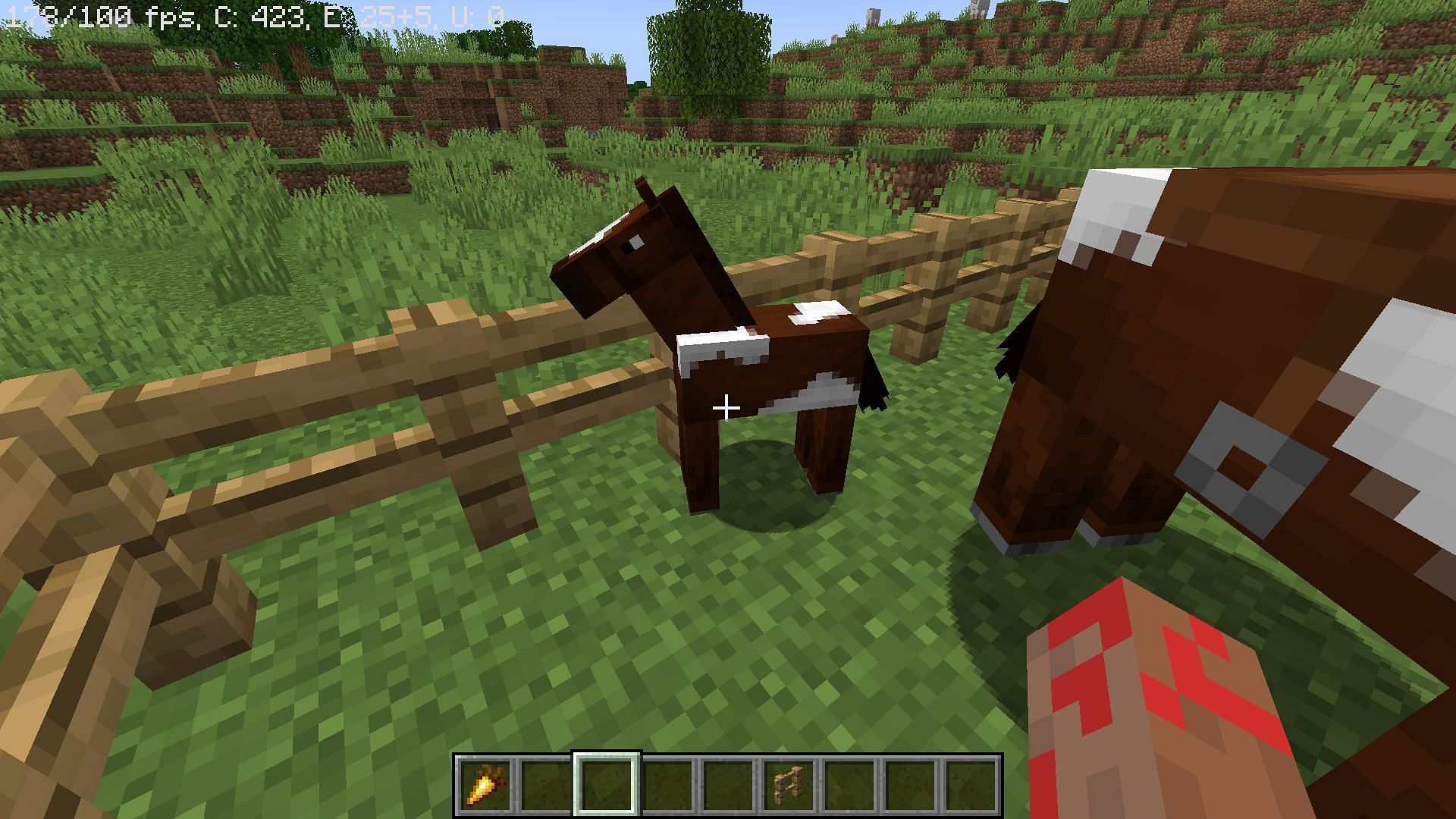 Foal&#039;s growth can be catalyzed by feeding it food items in Minecraft (Image via Mojang)