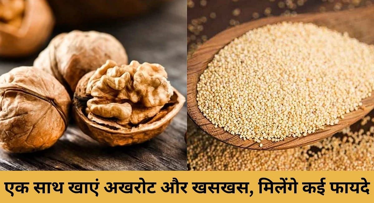 एक साथ खाएं अखरोट और खसखस, मिलेंगे कई फायदे(फोटो-Sportskeeda hindi)