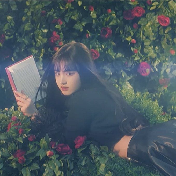 View image on Twitter