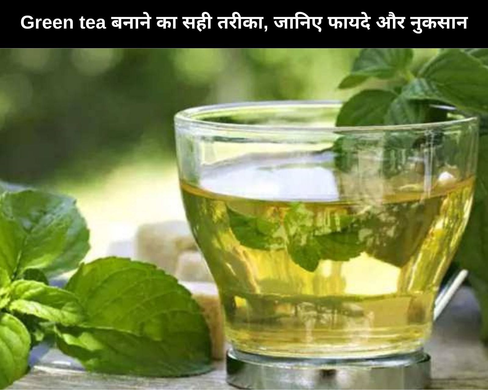 Green tea बनाने का सही तरीका, जानिए 4 फायदे और 4 नुकसान (फोटो - sportskeedaहिन्दी)