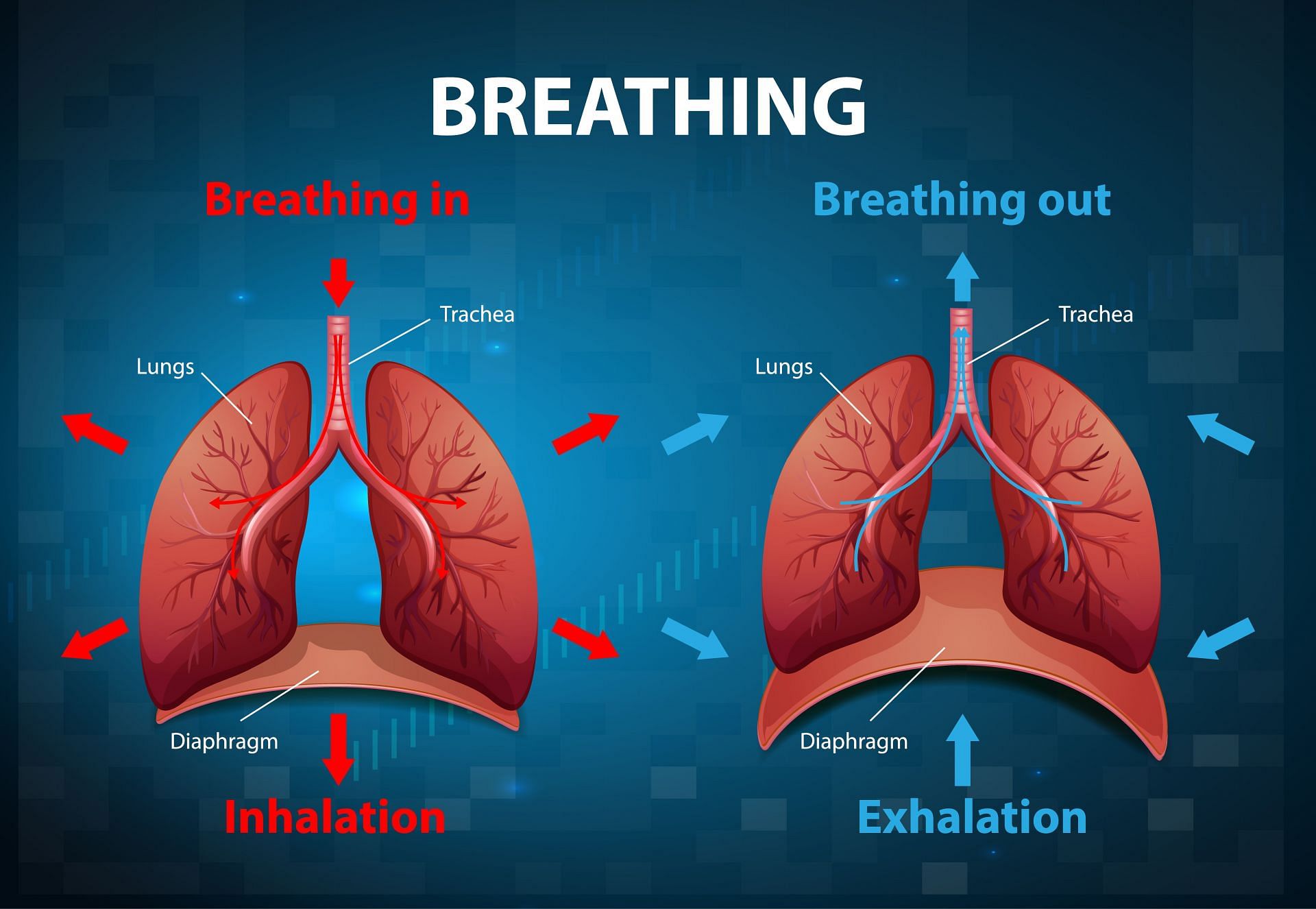 Taking control over your breath is an essential part of mindfulness. (Image via Freepik/Freepik)