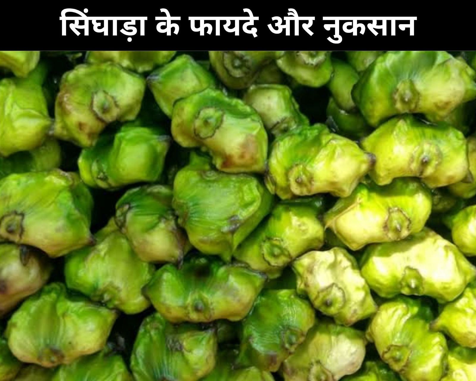 सिंघाड़ा के 5 फायदे और 5 नुकसान (फोटो - sportskeedaहिन्दी)