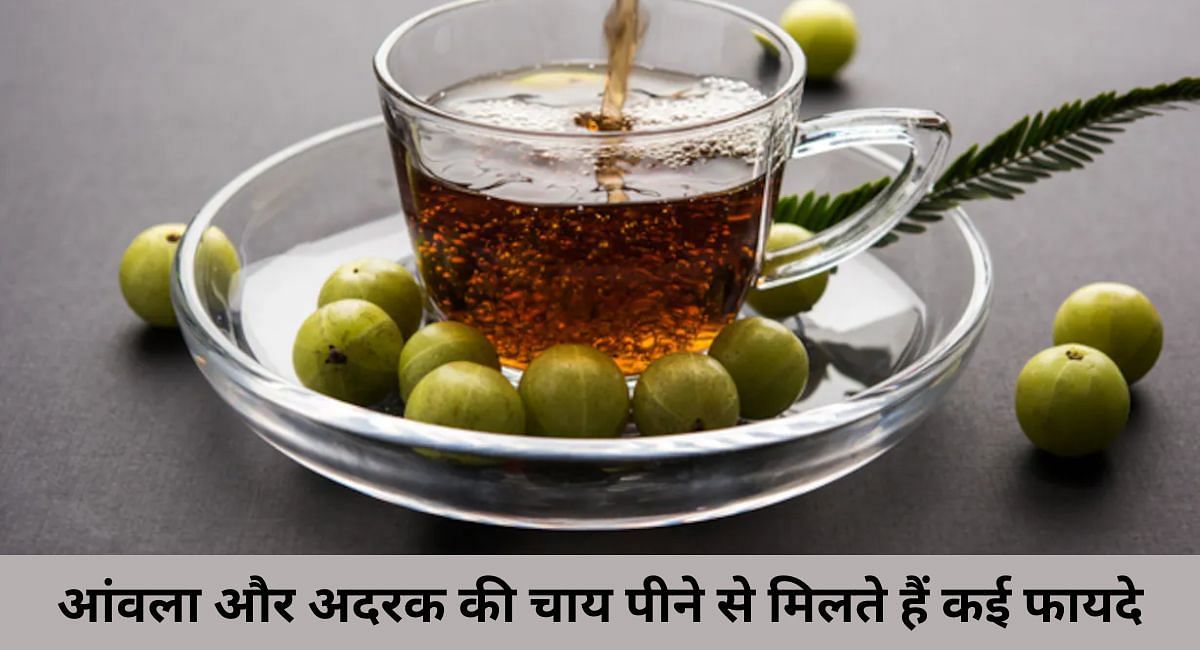 आंवला और अदरक की चाय पीने से मिलते हैं कई फायदे(फोटो-Sportskeeda hindi)
