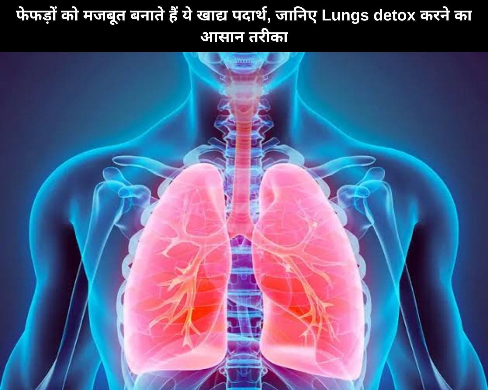 फेफड़ों को मजबूत बनाते हैं ये खाद्य पदार्थ, जानिए Lungs detox करने का आसान तरीका (फोटो - sportskeedaहिन्दी)