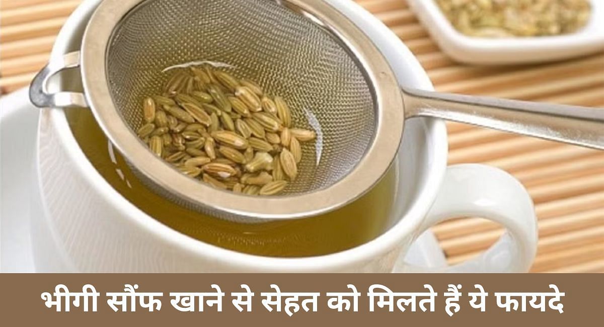 भीगी सौंफ खाने से सेहत को मिलते हैं ये फायदे(फोटो-Sportskeeda hindi)