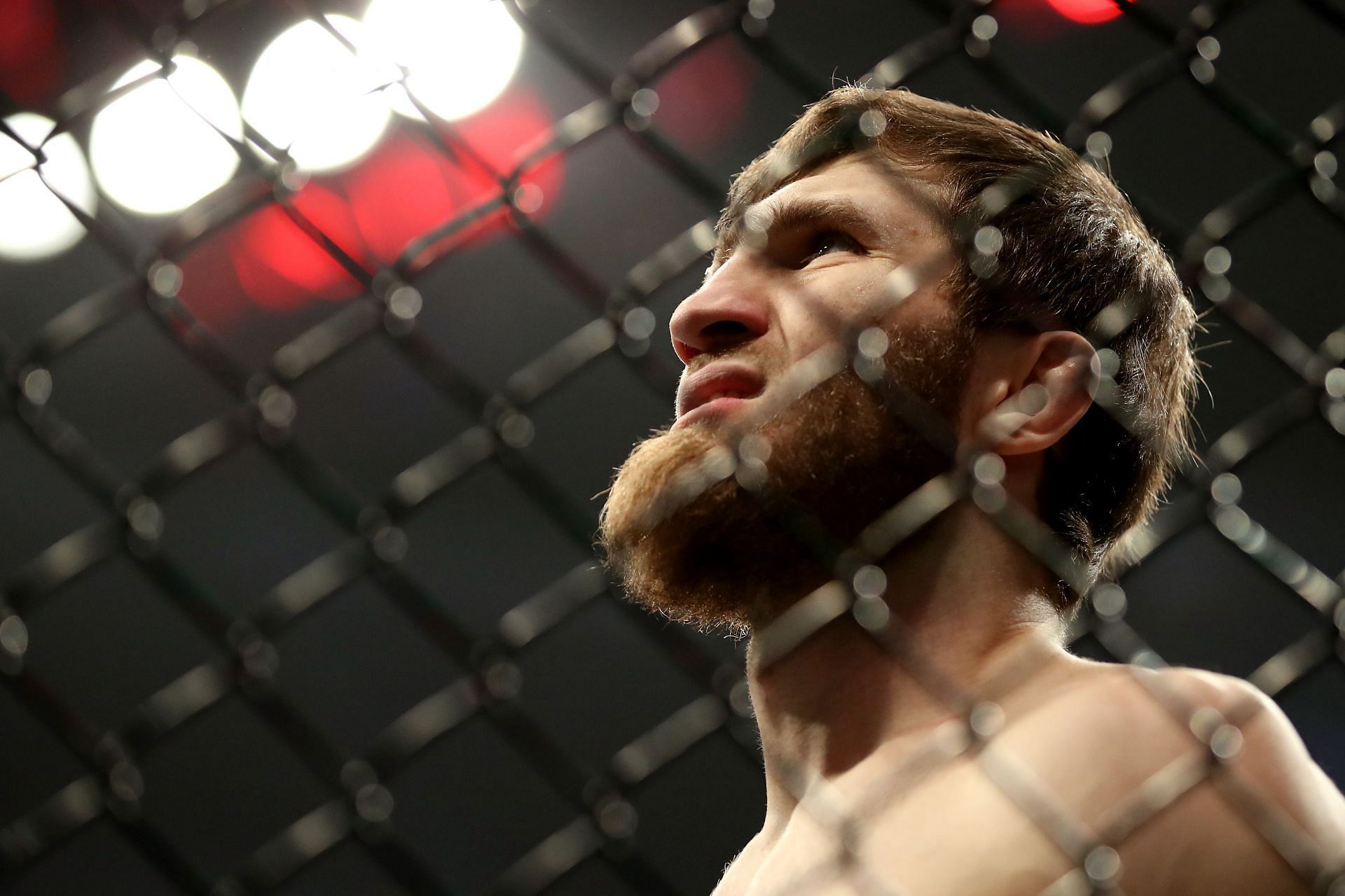 Said Nurmagomedov Stats, News, Bio & More
