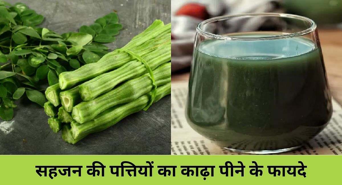 सहजन की पत्तियों का काढ़ा पीने के फायदे(फोटो-Sportskeeda hindi)