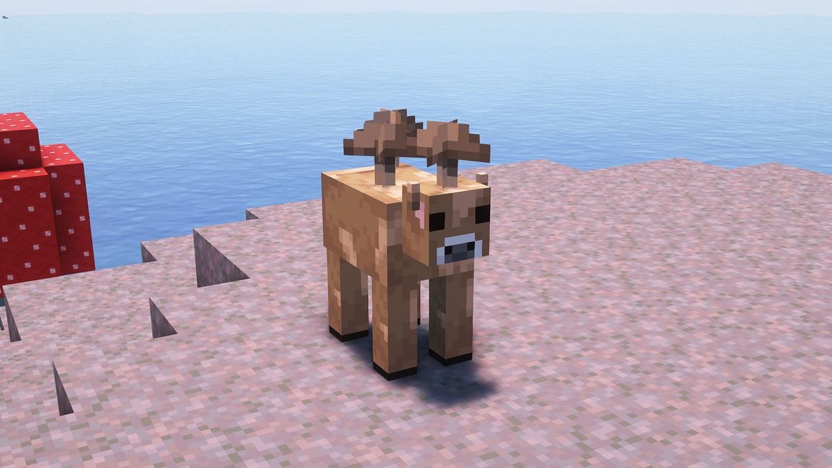 Top 5 rare Minecraft mobs and where to find them easily