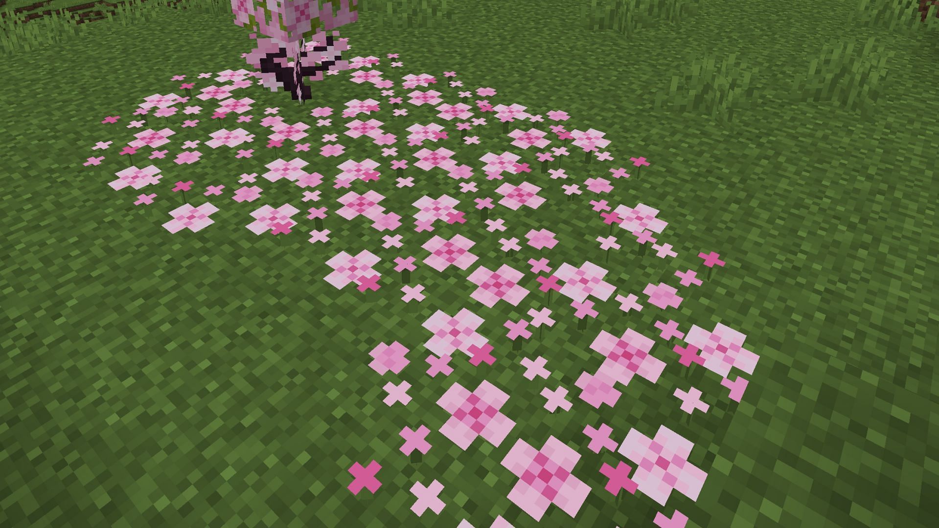 Pink Petals are brilliant for decorating structures and gardens in Minecraft 1.20 Trails and Tales update (Image via Reddit/u/Pooptopiaproblems)`