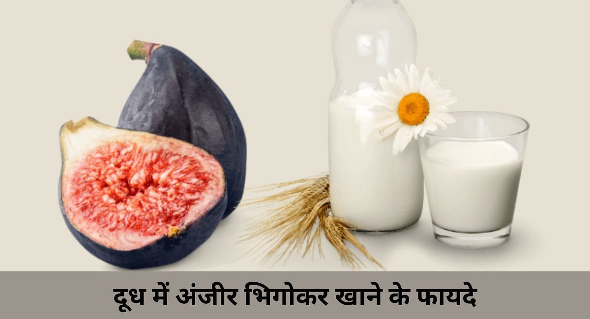 दूध में अंजीर भिगोकर खाने के फायदे(फोटो-Sportskeeda hindi)