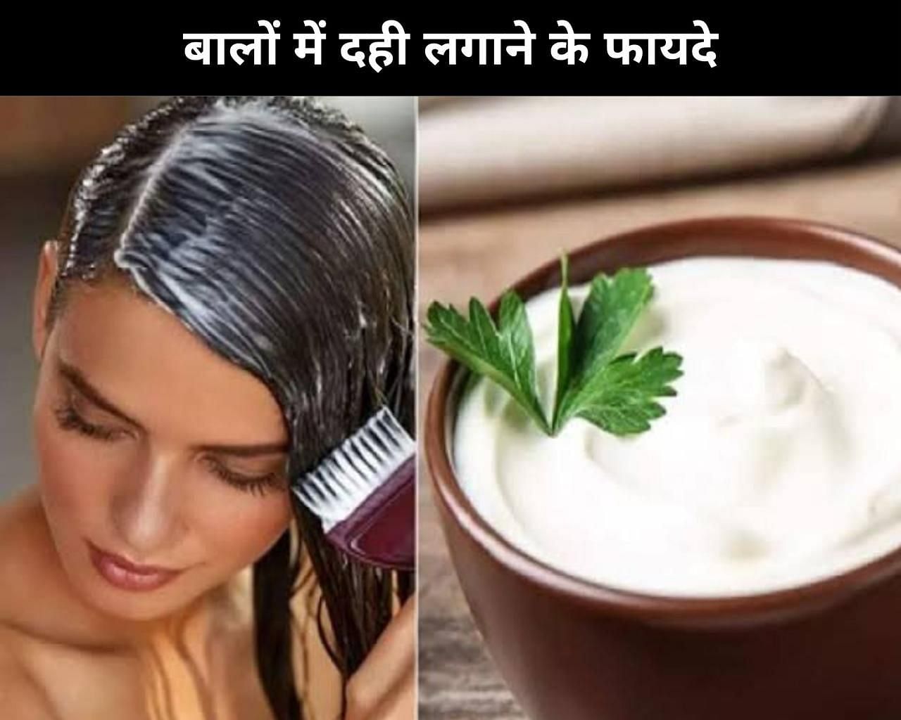 7 Benefits Of Applying Curd On Hair In Hindi: बालों में दही लगाने के 7 फायदे