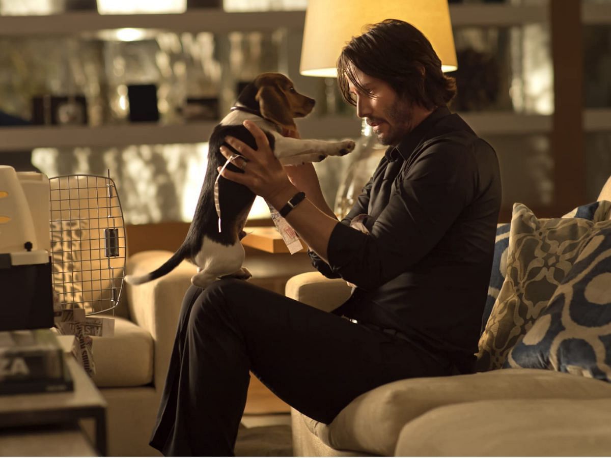 A still of Keanu Reeves as John Wick with his Beagle puppy Daisy in John Wick (Image Via IMDb)