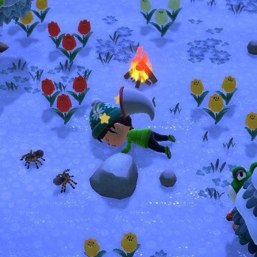 How to catch a tarantula in Animal Crossing New Horizons