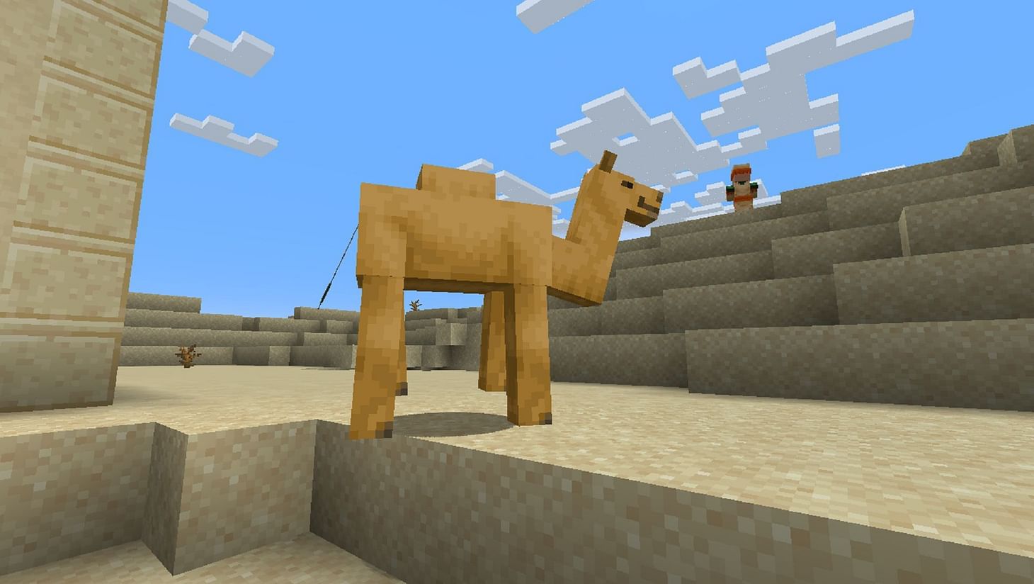 How to find camels in Minecraft 1.20 Trails & Tales update