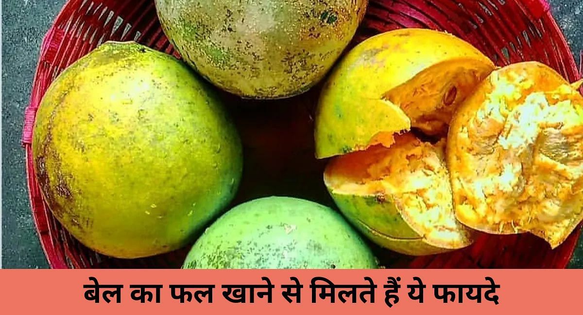 बेल का फल खाने से मिलते हैं ये फायदे(फोटो-Sportskeeda hindi)