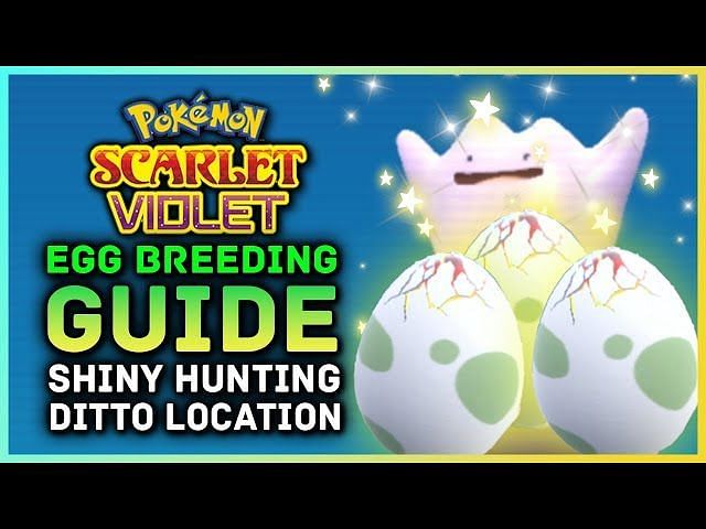 How To Get Shiny Cyndaquil Quilava And Typhlosion In Pokemon Scarlet And Violet 1013