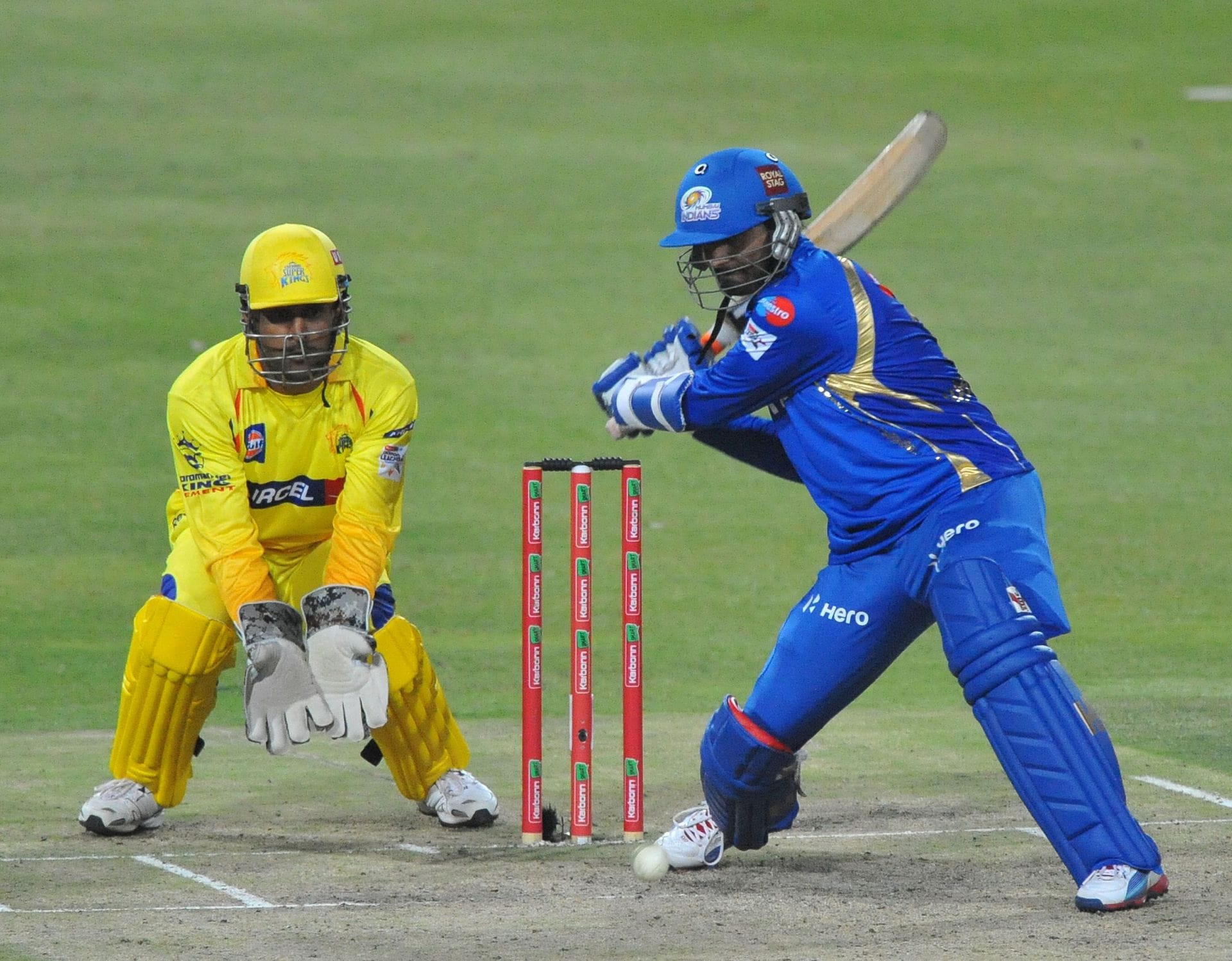 Image showcasing Image result for cricket nutrition for reproduction