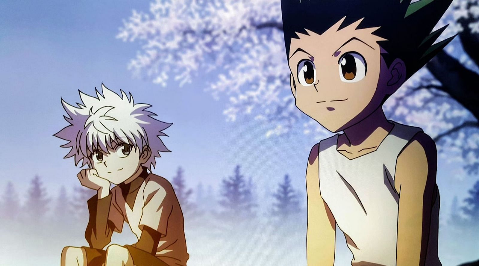 What is Hunter x Hunter about? - Why Is It Called Hunter X Hunter