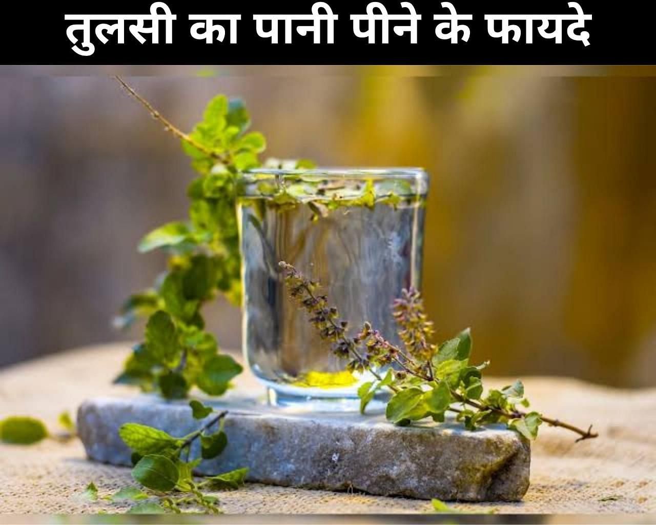 तुलसी का पानी पीने के फायदे (sportskeeda Hindi) 