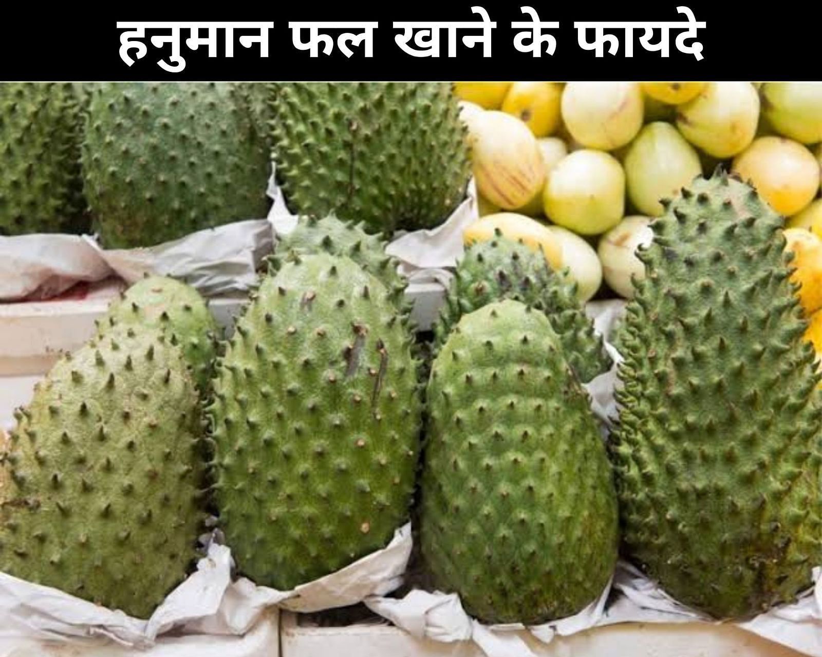 हनुमान फल खाने के फायदे (sportskeeda Hindi) 